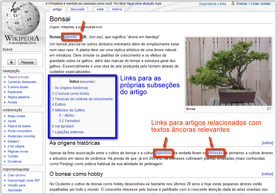 bonsai wikipedia
