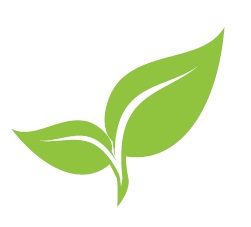Logo do BranchOut