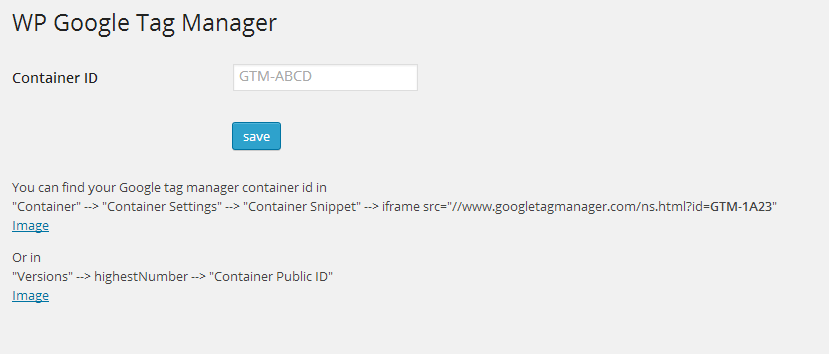 WP Google Tag Manager