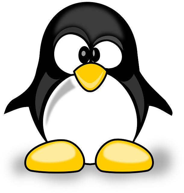 Penguin Update do Google